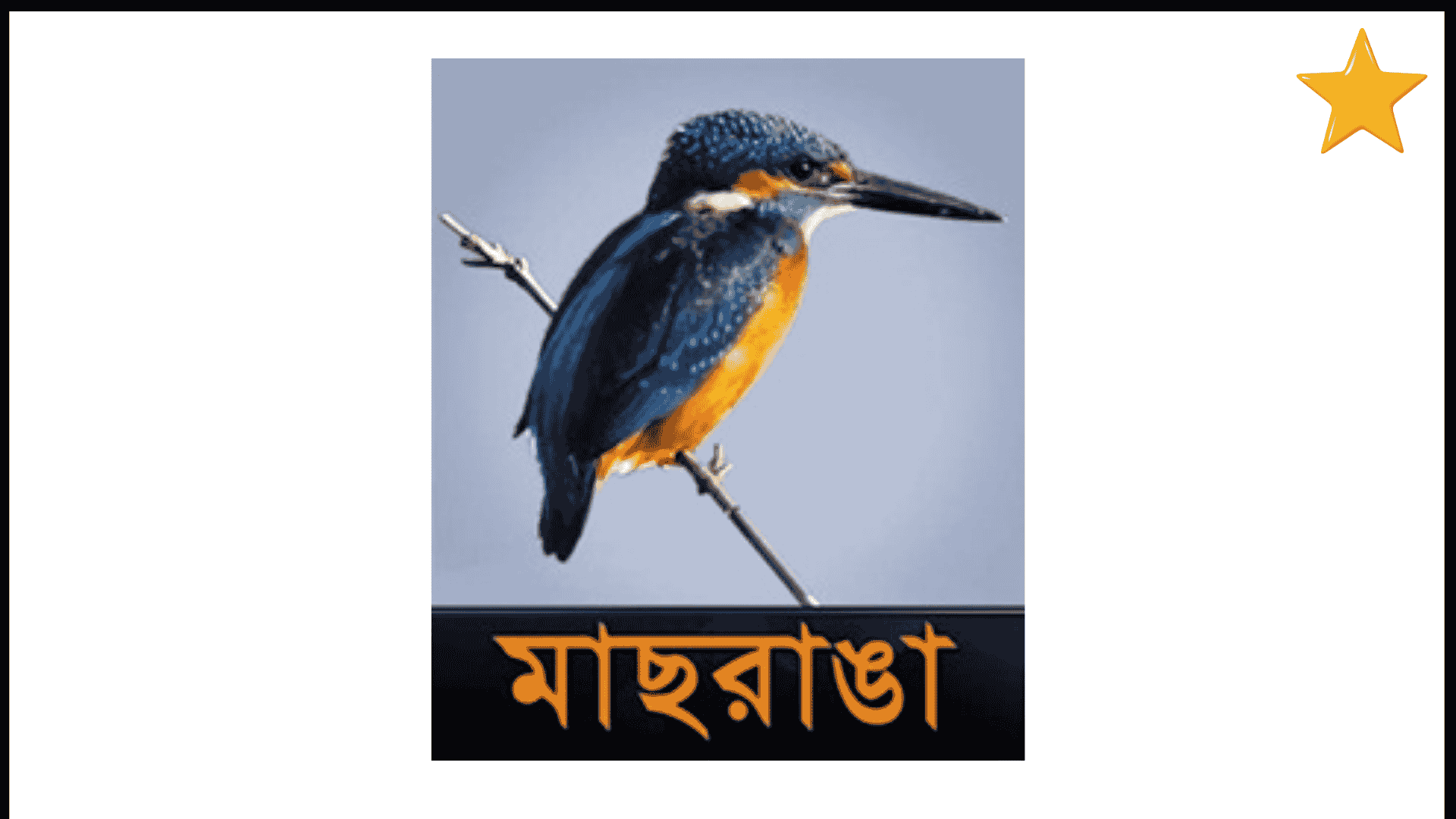 Maasranga TV